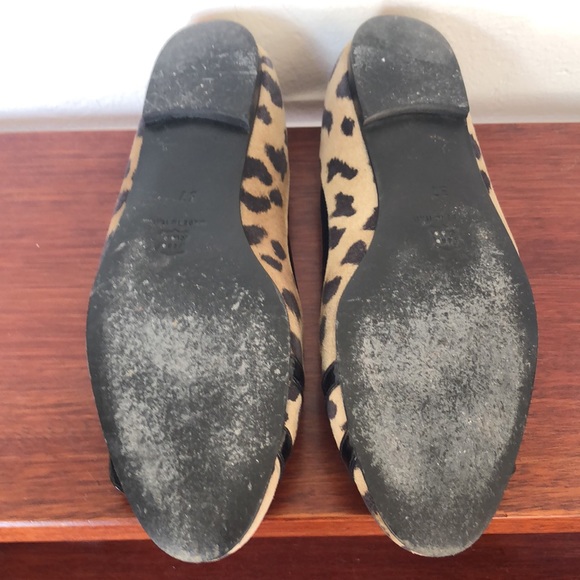 Pierre Hardy Flats - Picture 5 of 5